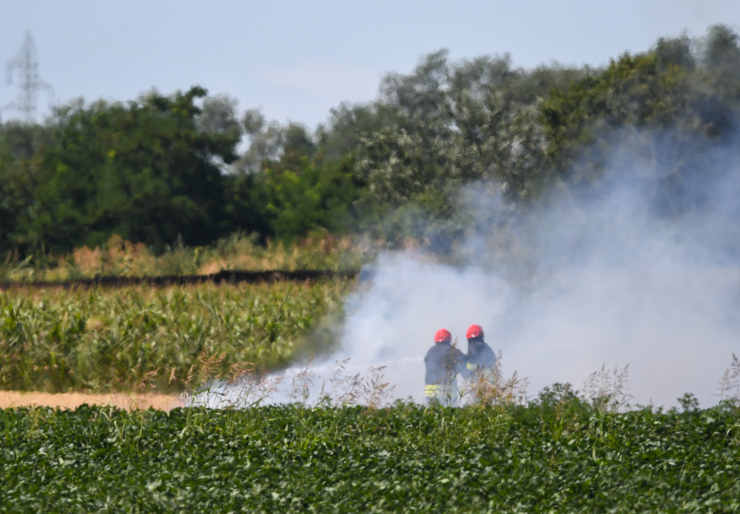 Novi Sad086 pozar kod Kaca foto Nenad Mihajlovic