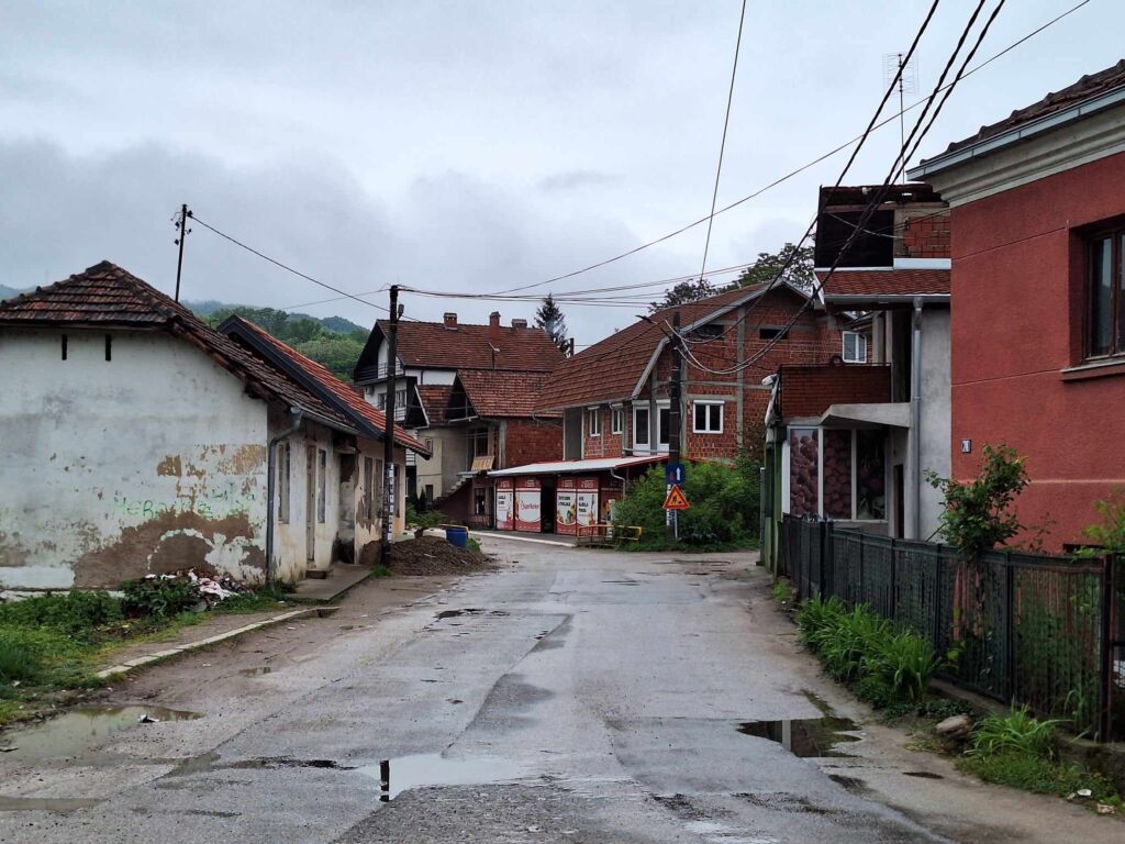 tekst o devojčici koju je ujeo pas Kane korso