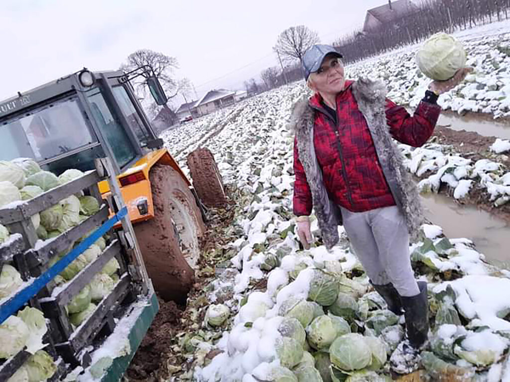 Samohrana majka Jelena Mijailović sa cetvoro dece zivi u podrumu u Cacku