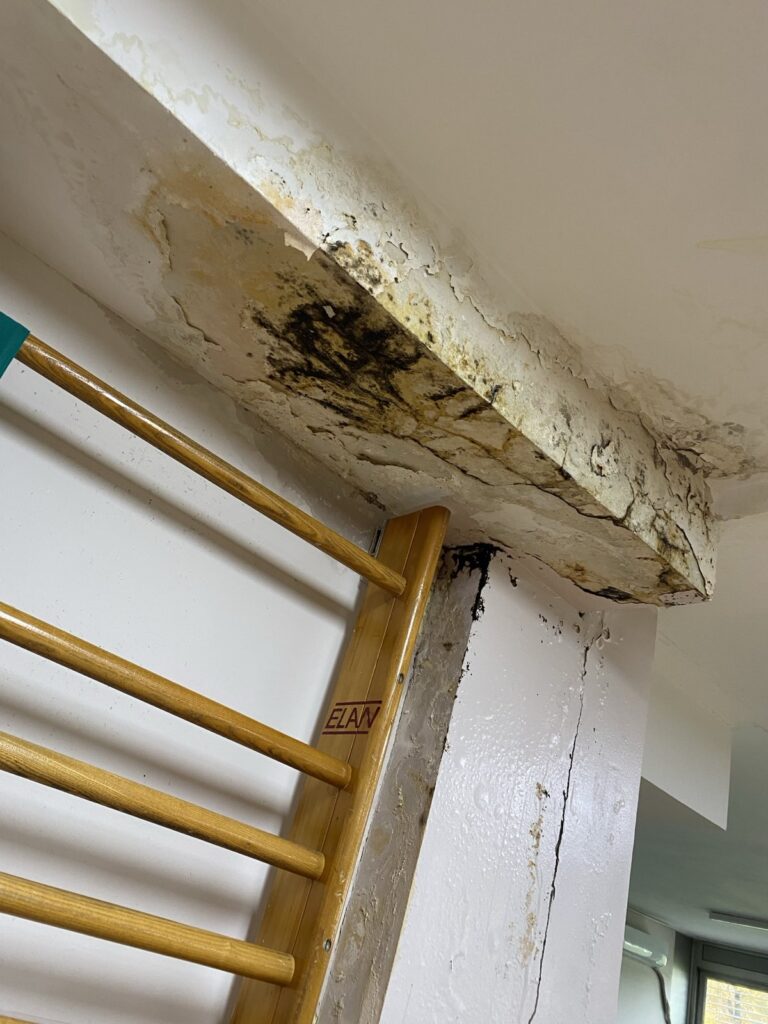 Dom zdravlja Novi Beograd Foto: čitalac nova.rs