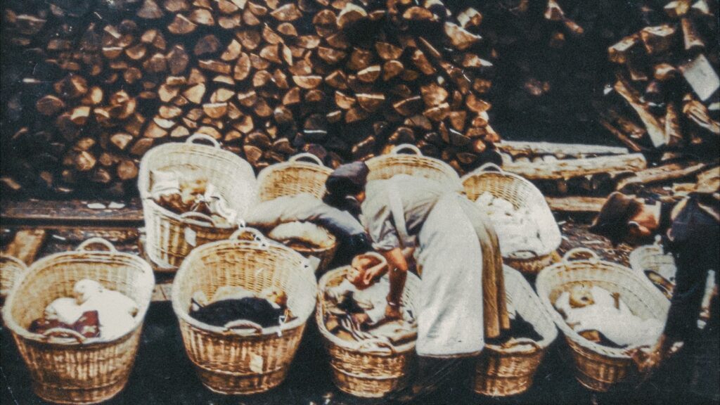 Jubilarni 10. Dani slovenačkog filma u Jugoslovenskoj kinoteci