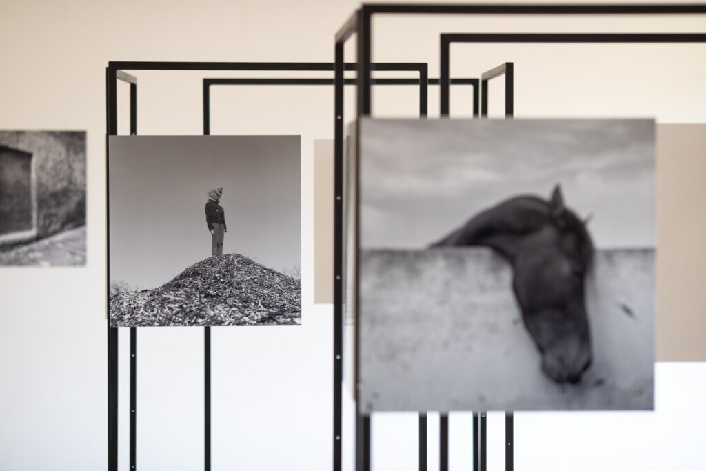 Treći po redu Sarajevo Photography Festival Foto: Promo