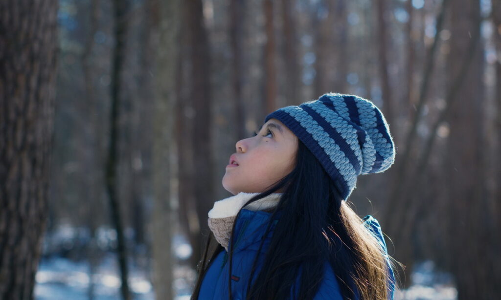 Dobitnik Srebrnog lava, „Zlo ne postoji” oskarovca Hamagučija, u domaćim bioskopima