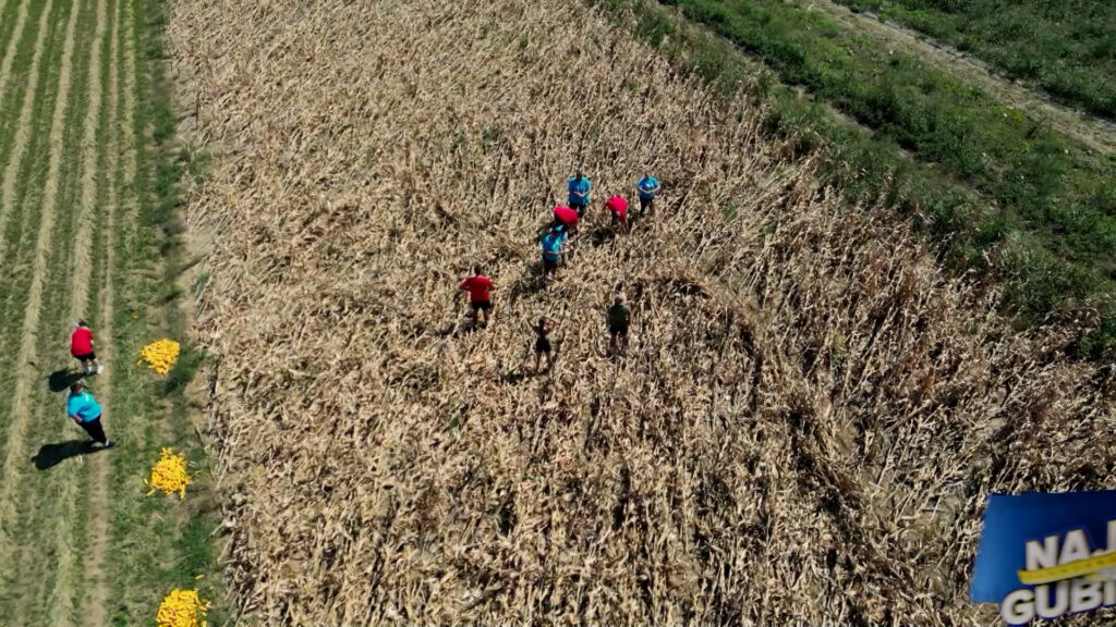 1701964387-Takmicari-Najveceg-gubitnika-brali-kukuruz-na-Fruskoj-Gori-a-potom-su-svi-spakovali-kofere-evo-sta-je-razlog-1024x576.jpg
