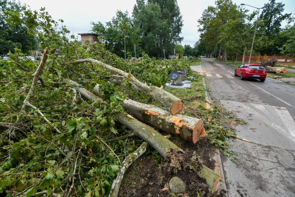 Novi Sad 22.07.2023 Posledice supercelijske oluje koja je pogodila Novi Sad foto Nenad Mihajlovic