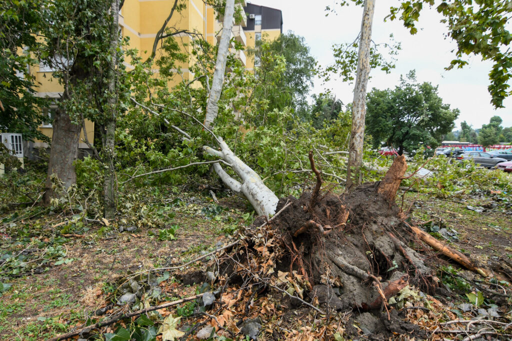 Novi Sad 22.07.2023 Posledice supercelijske oluje koja je pogodila Novi Sad foto Nenad Mihajlovic