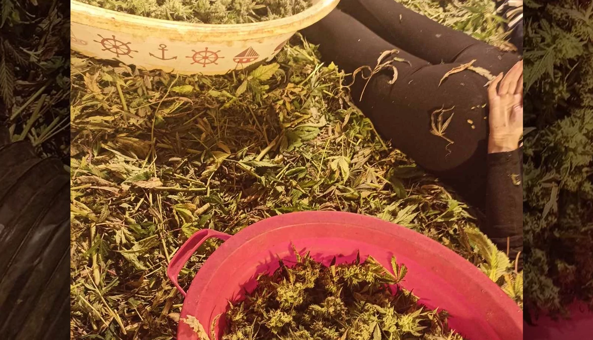 jJIk9kpTURBXy83NzJhMjgyZDdiMTkxNTA5OGJlMTI4ZDdlMTI5NmU2MC5qcGeRkwLNBLAA3gABoTAF