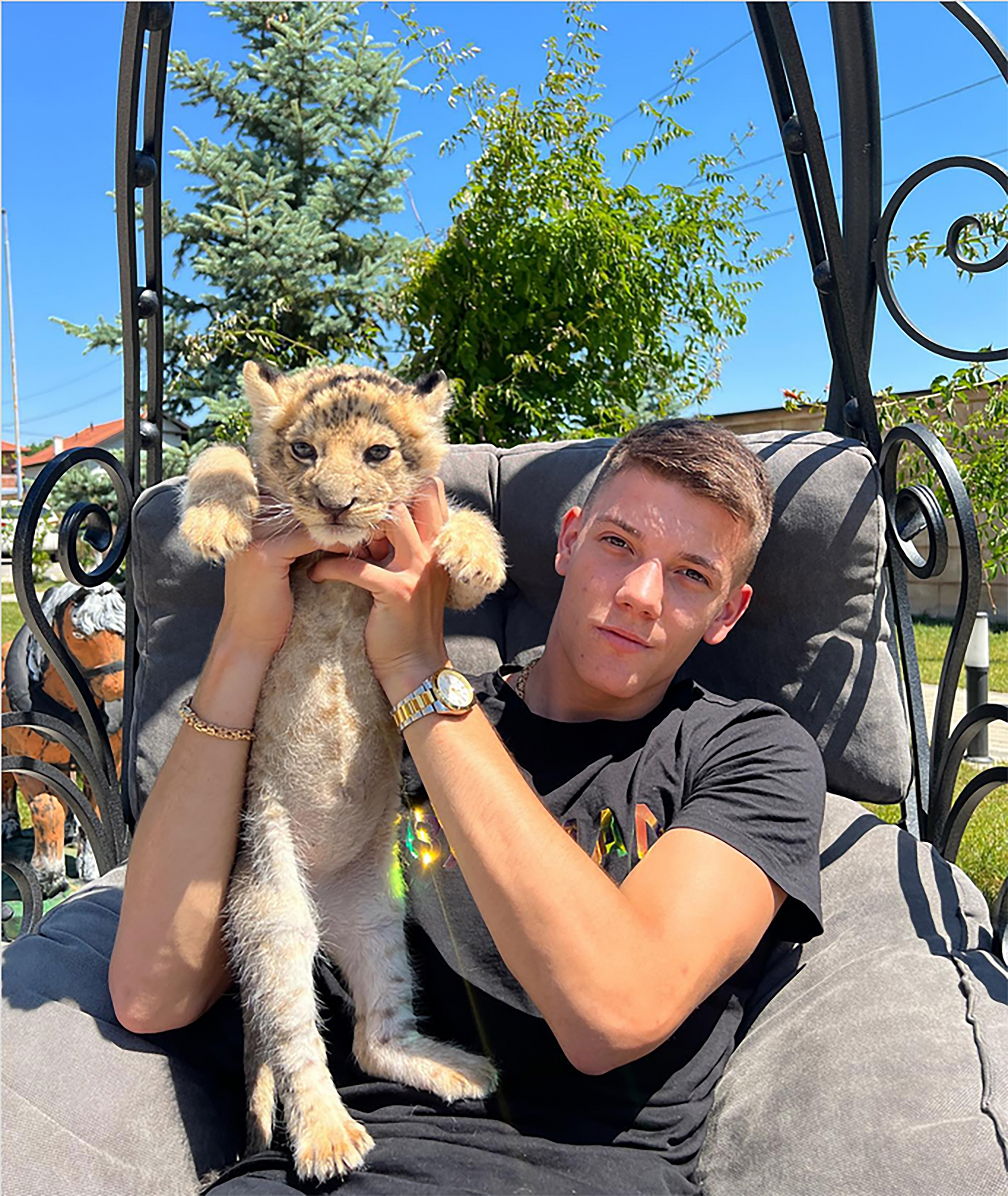 Screenshot 2023-10-04 at 11-34-11 Stefan Janković on Instagram Kralj balkana copy