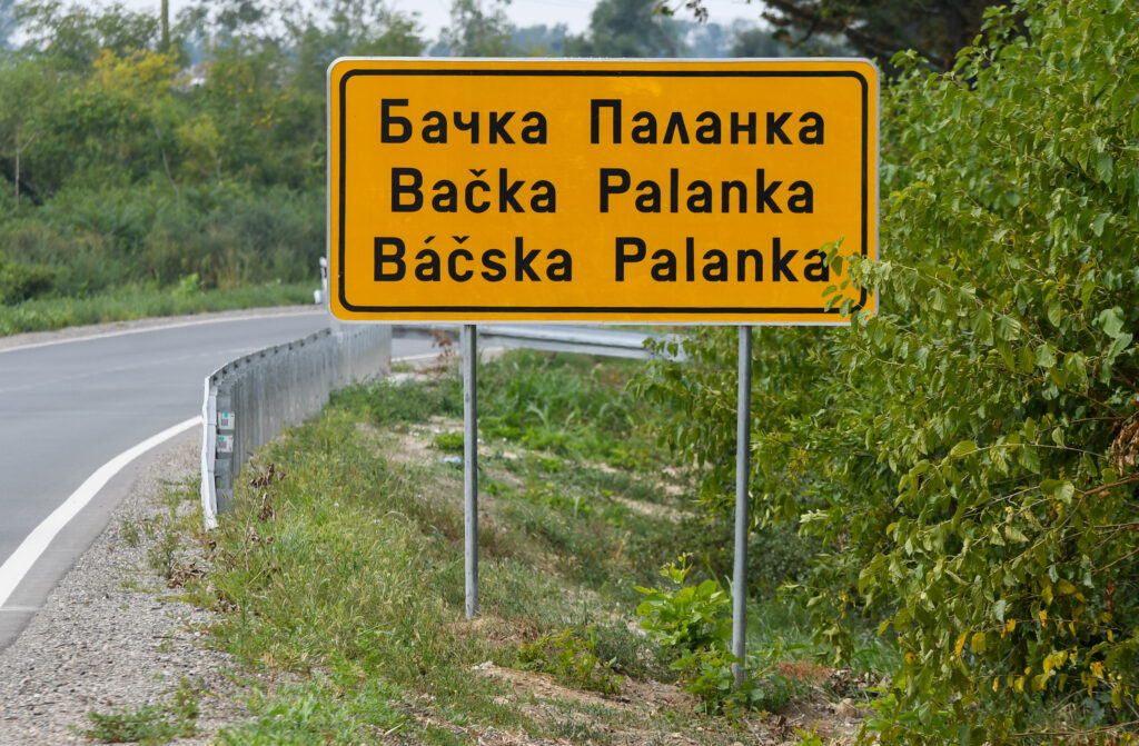 Backa Palanka 18.08.2023 sagovornici anketa zasto protestujem foto Nenad Mihajlovic, zašto šetamo, tabla