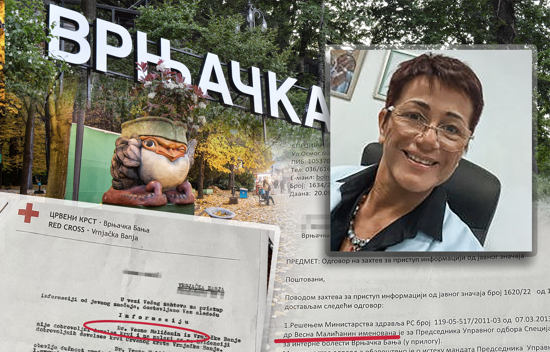 dr vesna malićanin  vrnjačka banja