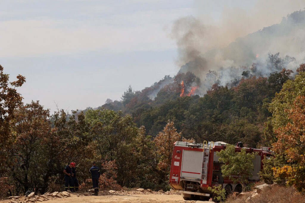 Greek firefighters stand next to a firefighting truck as a wildfire burns at Dadia National Park in the region of Evros, Greece, August 29, 2023. REUTERS/Alexandros Avramidis