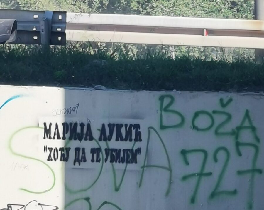 1692008317-marija-lukic-grafit-citalac-N1-scaled-e1692008559228-900x714