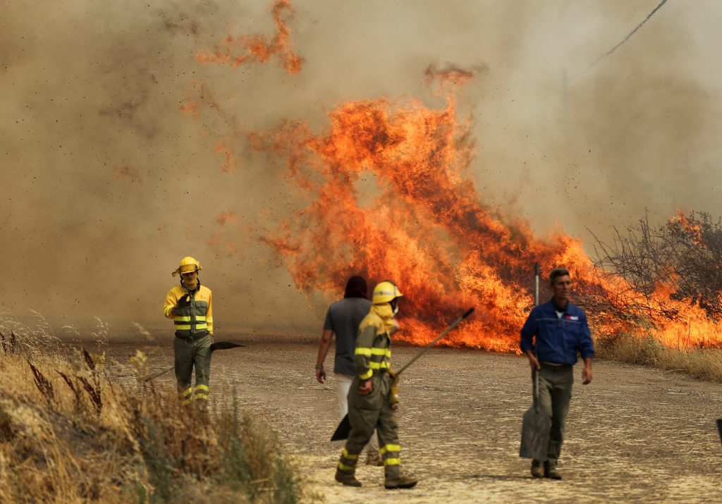 Firefighters from the Brigadas de Refuerzo en Incendios Forestales (BRIF) tackle a fire in a wheat field in Tabara, Zamora, on the second heatwave of the year, in Spain, July 18, 2022.  REUTERS/Isabel Infantes