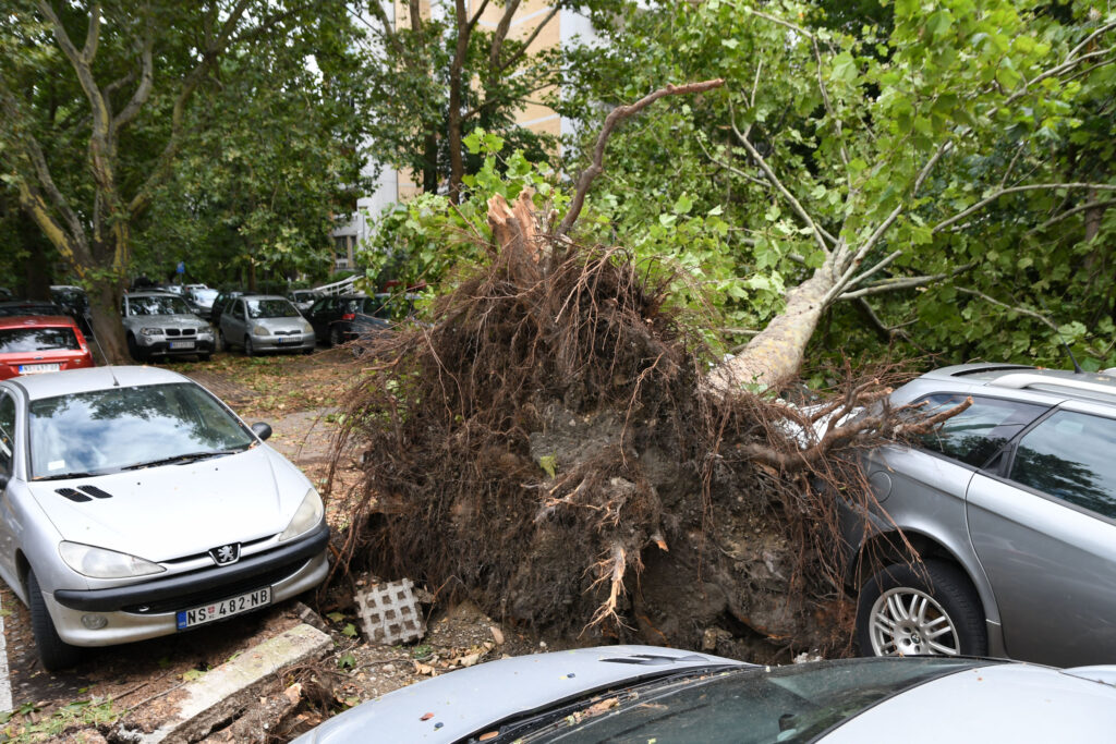 1689845478-Novi-Sad_posledice-nevremena-sruseno-drvece-foto-Nenad-Mihajlovic_3994-1024x683.jpg