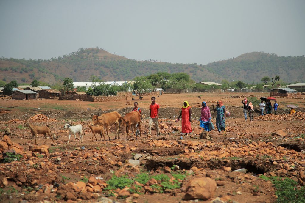 FILE PHOTO: Residents walk past Adi Harush Refugee camp in Mai Tsberi town in Tigray Region, Ethiopia, June 26, 2021. Picture taken June 26, 2021. REUTERS/Tiksa Negeri/File Photo