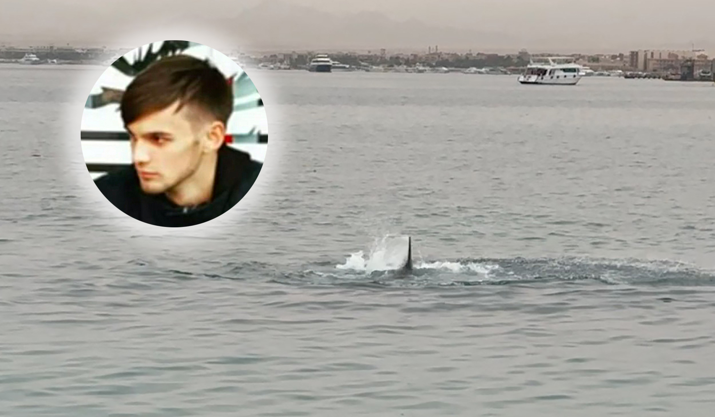 egipat ajkula, A shark attack in Hurghada
