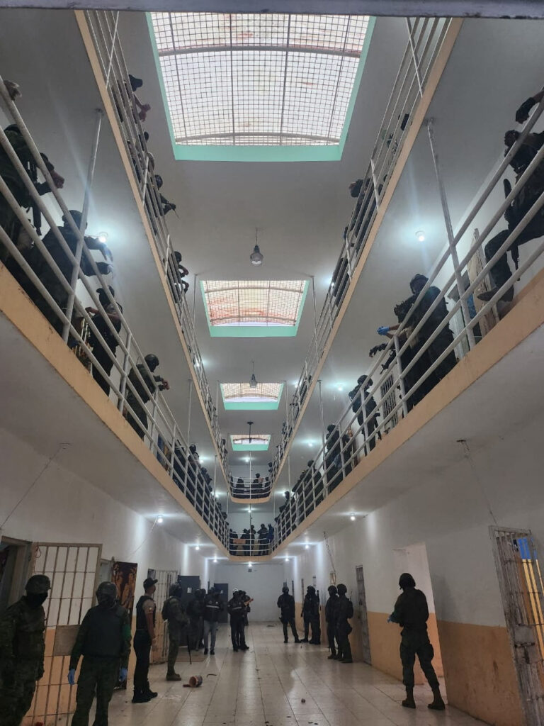 1687028306-2023-06-16T222715Z_432684972_RC2MK1AWJI64_RTRMADP_3_ECUADOR-PRISONS-PIGS-768x1024.jpg