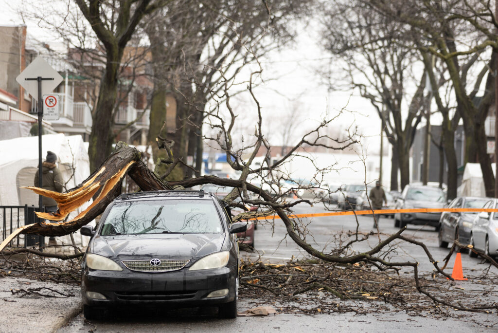 A fallen branch is seen on a car, a day after freezing rain and strong winds cut power to more than a million people in Canada's two most populated provinces, in Montreal, Quebec, Canada April 6, 2023.  REUTERS/Christinne Muschi