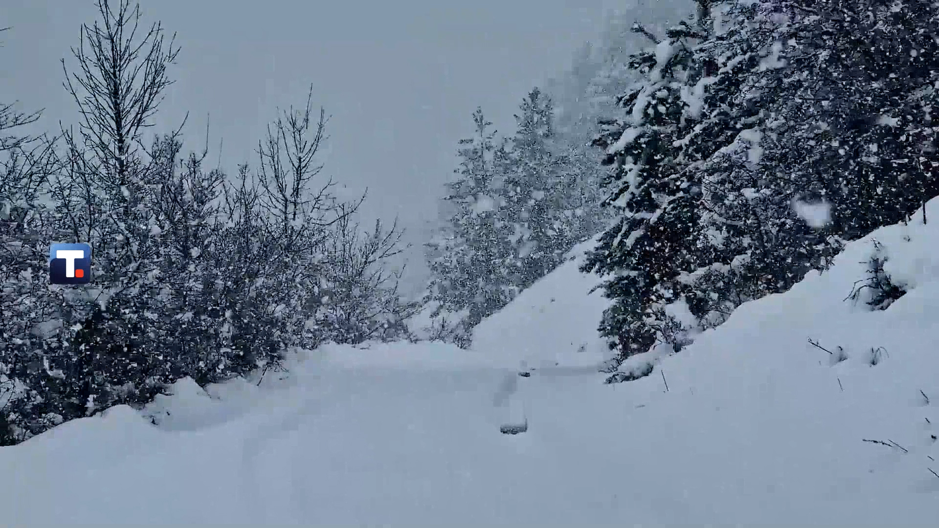 Foto: Printscreen Tanjug/Video