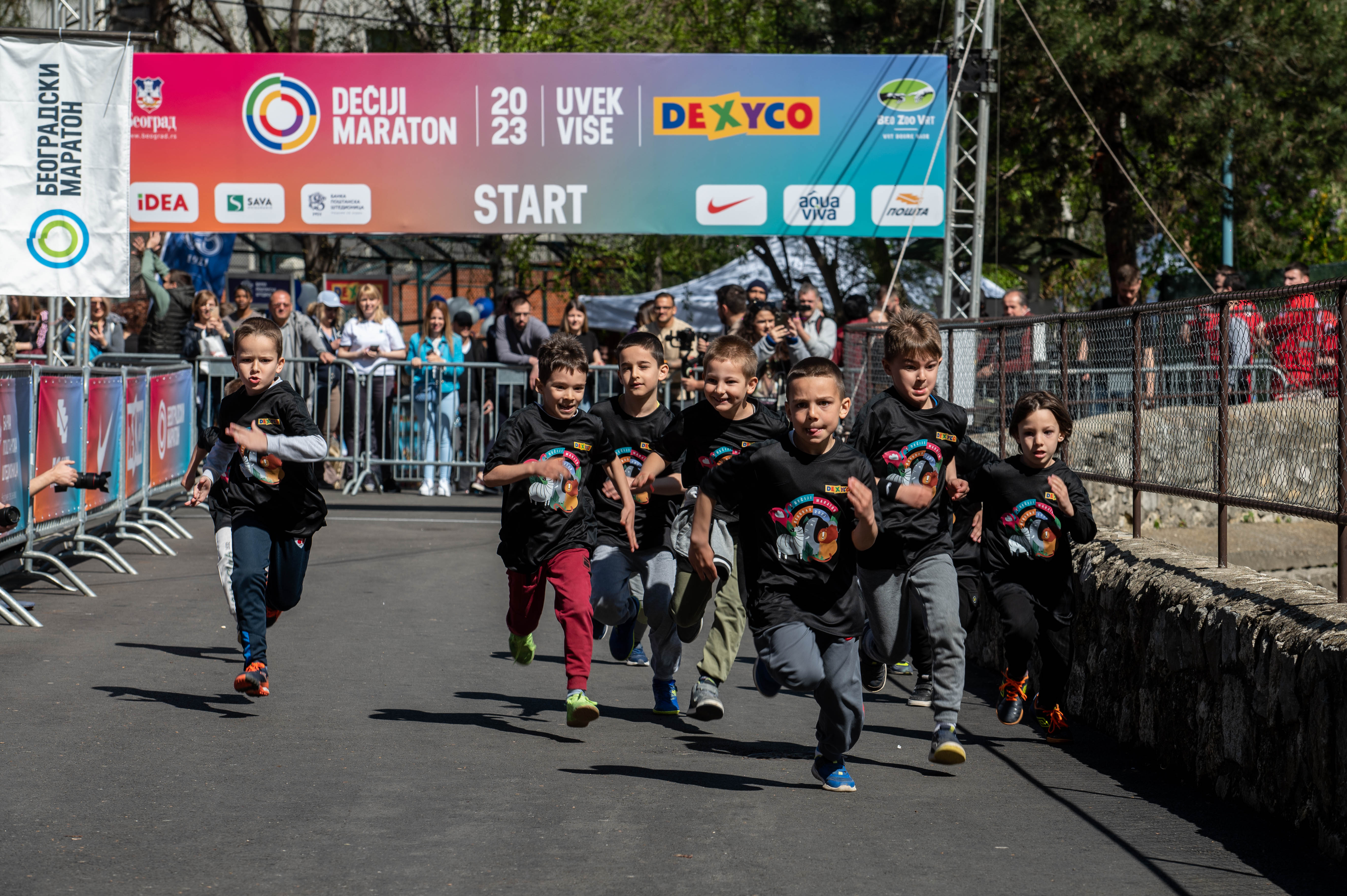 Liveproduction4_zoo_maraton_highlight (3 of 16)