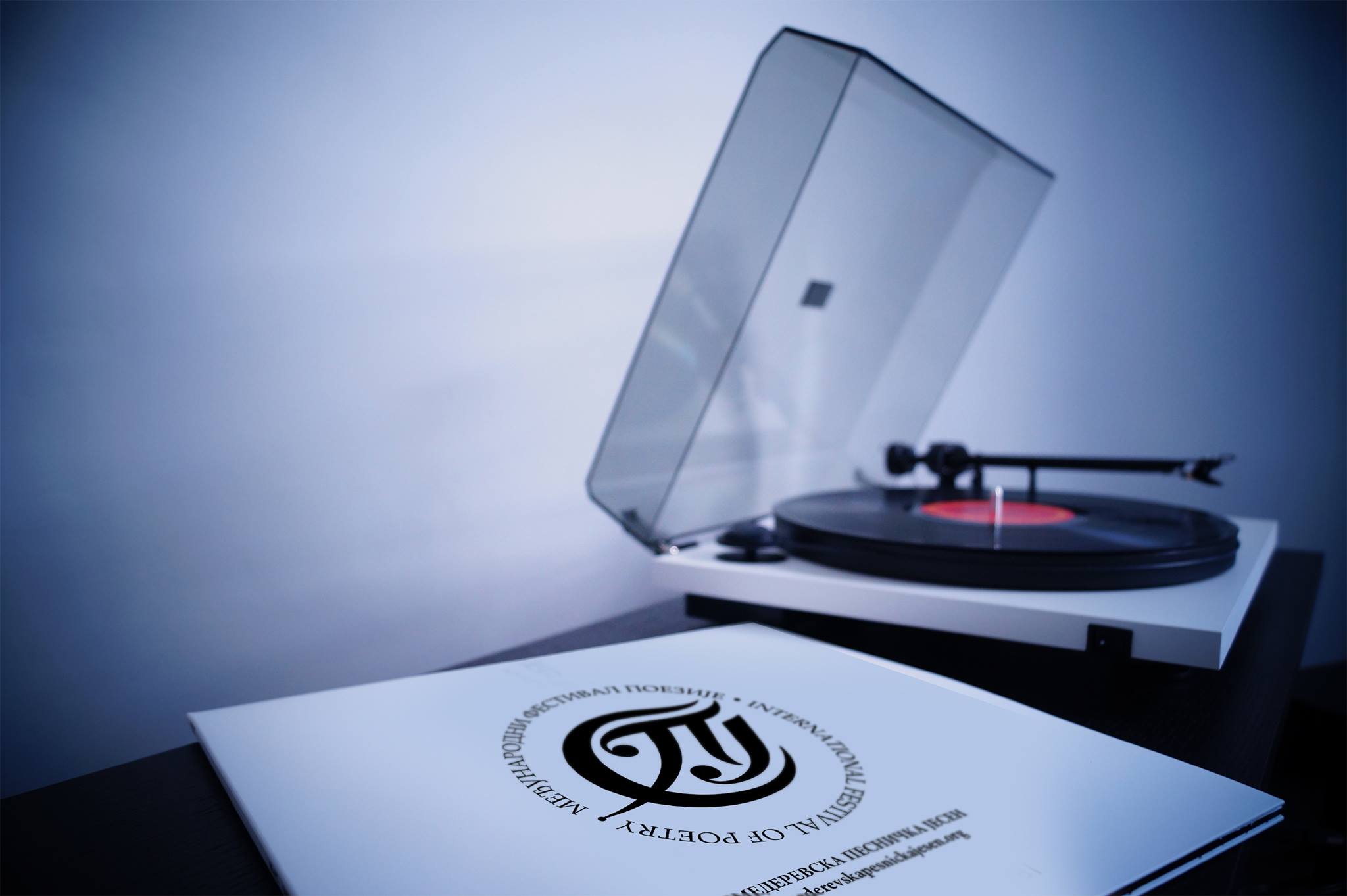 305761723_451538067006688_7208720680421393934_n