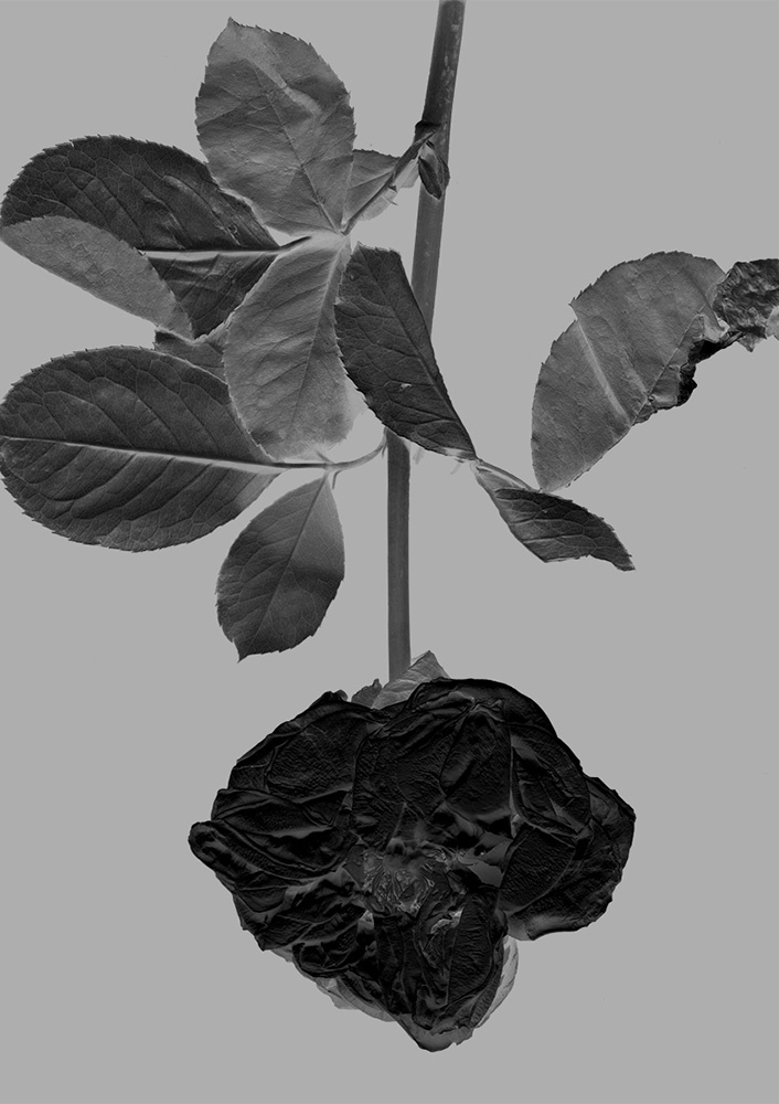 Iz serije _The Letting Go_ - Pt.1, 2020, limena ofsetna ploc¦îa