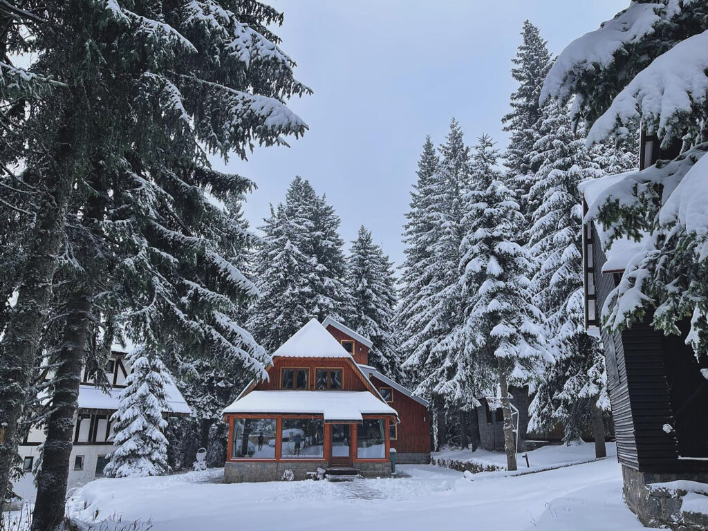Kopaonik sneg 25.11.2023. Imamo dozvolu za foto