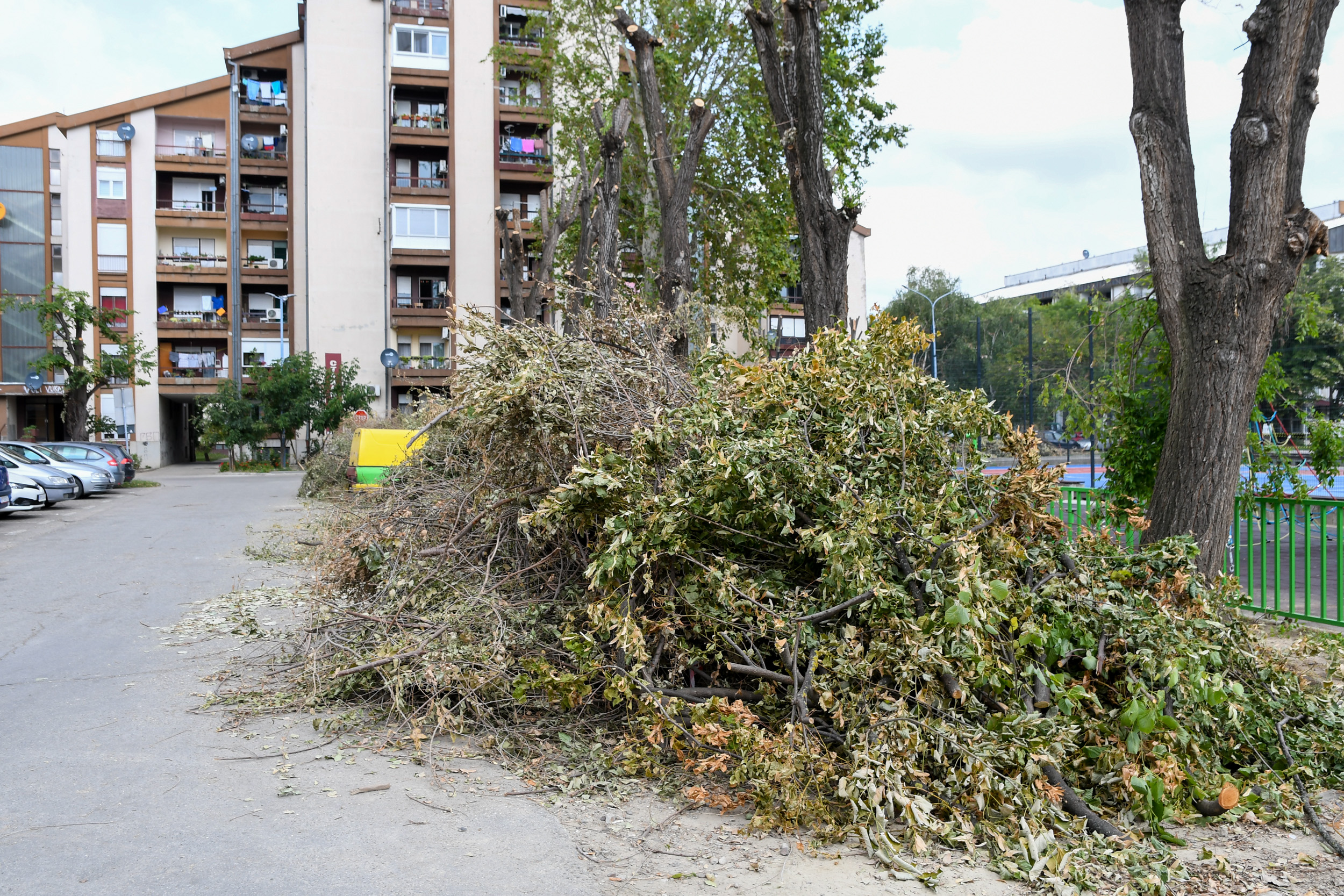 Backa Palanka 18.08.2023 neociscene ulice polomljeno drvece posle nevremena koje je pogodilo Backu Palanku foto Nenad Mihajlovic