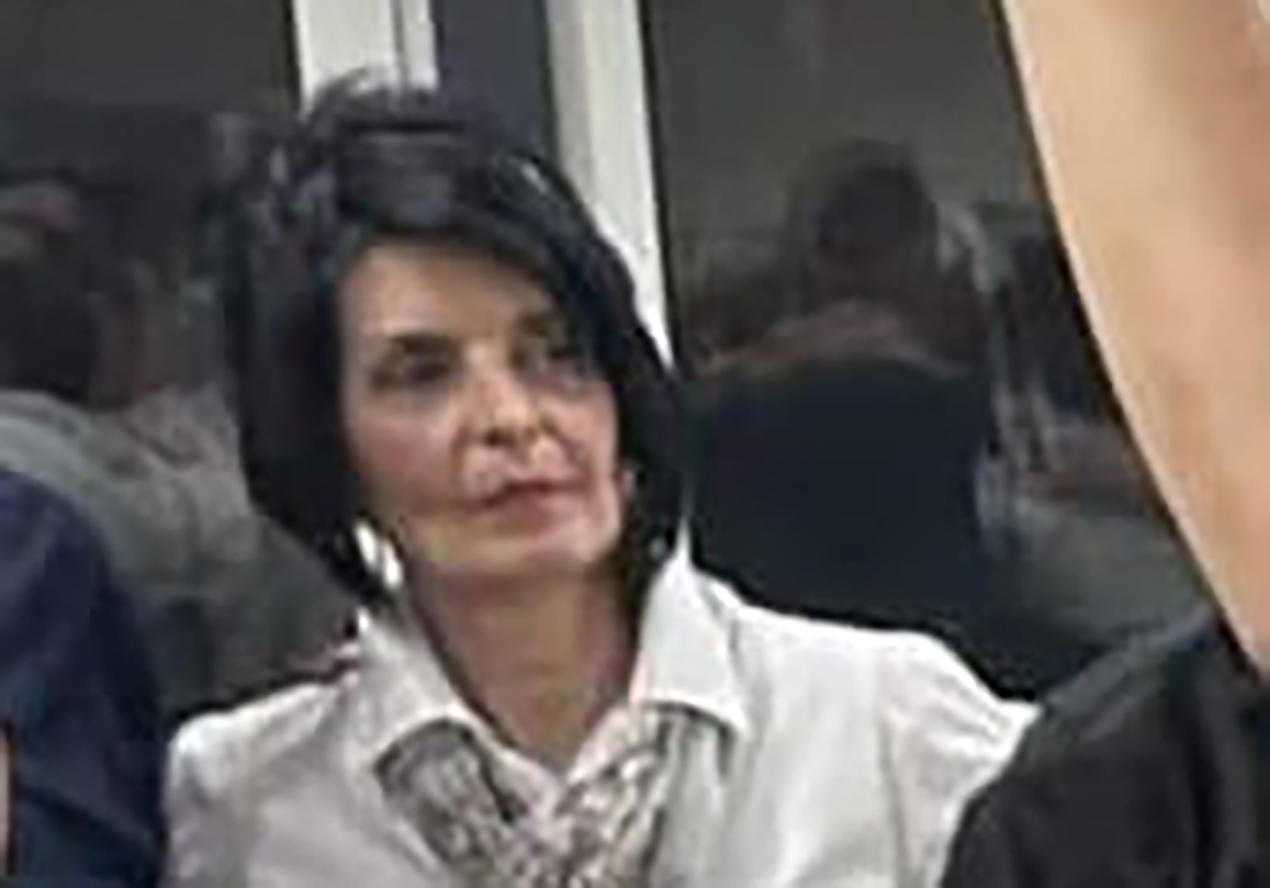 Ivana Brbaklić, Sombor, nestanak, most  Žena nestala u Somboru