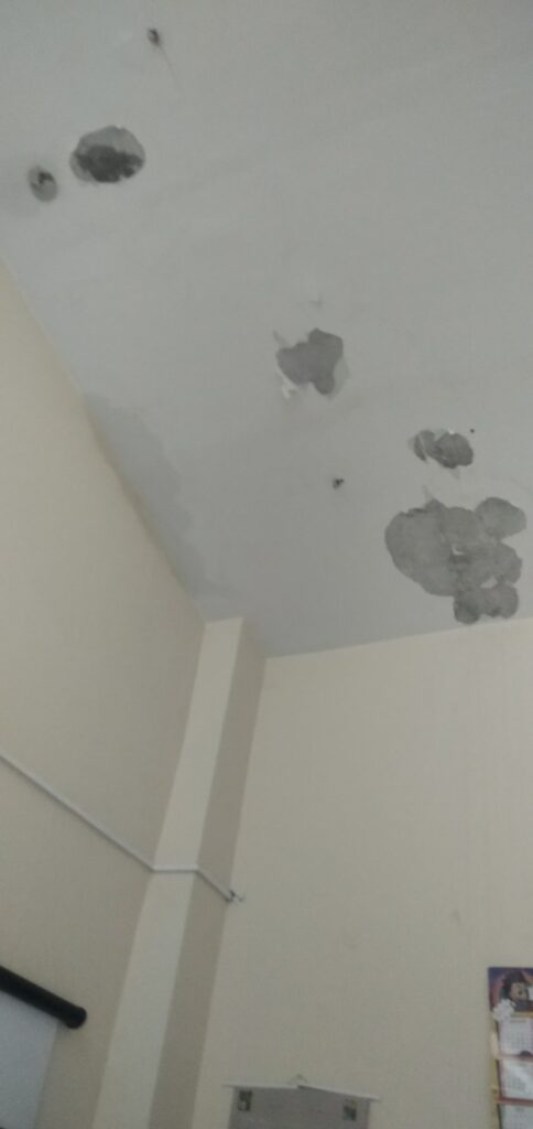 Osnovna škola Duško Radović, Srmčica, radovi Foto: Nova.rs