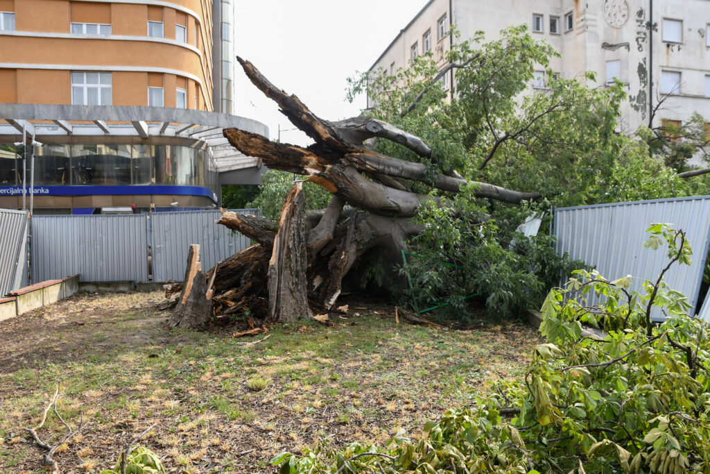 Novi Sad 22.07.2023 Posledice supercelijske oluje koja je pogodila Novi Sad foto Nenad Mihajlovic
