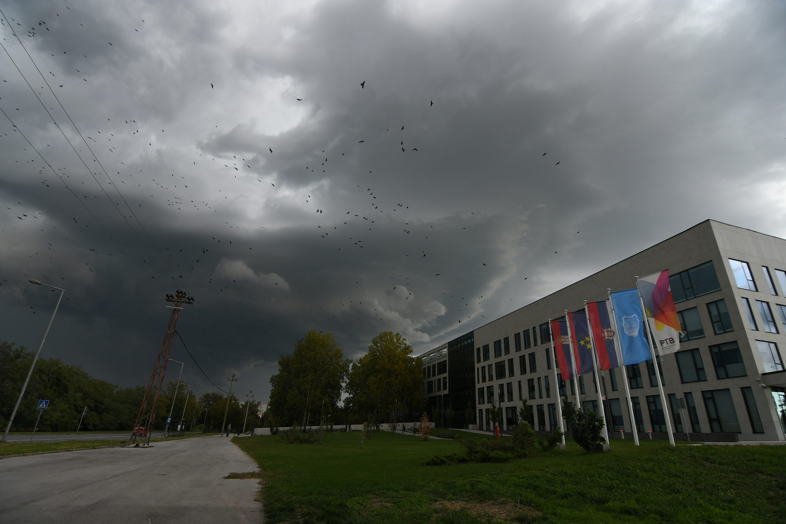 Novi Sad_nevreme pljusak oluja foto Nenad Mihajlovic _3649