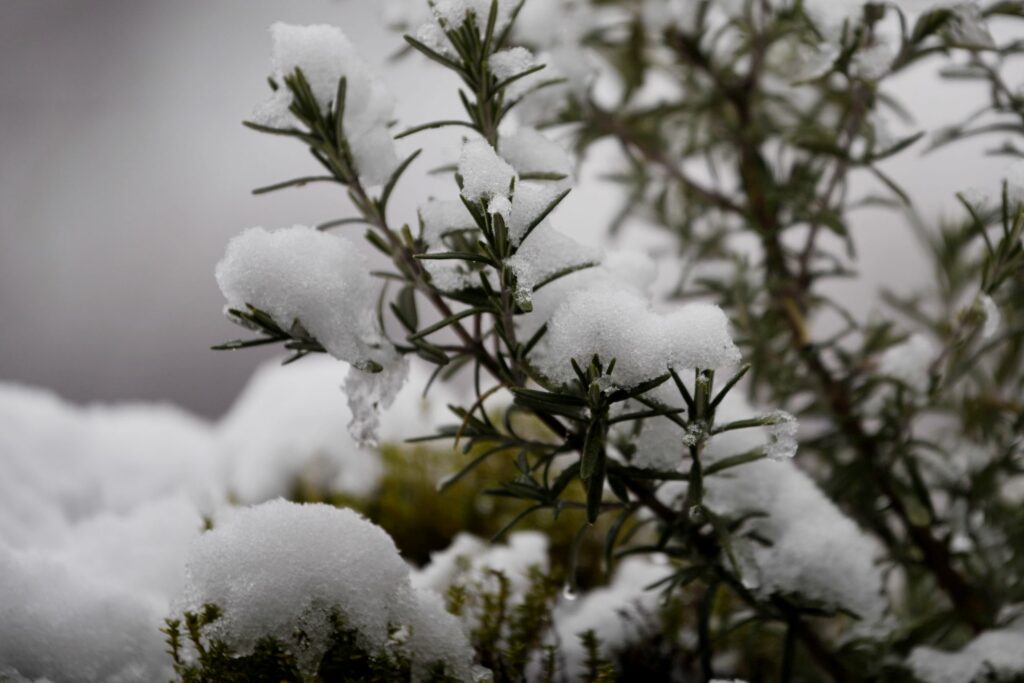 Beograd 20. januar 2023. Sneg u Beogradu, zima, vreme, zahladjenje Foto:Filip Krainčanić/Nova.rs