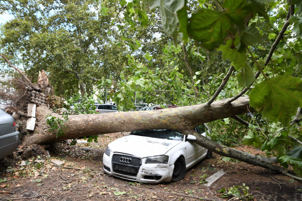 Novi Sad 20.jul 2023. Nevreme, Posledice nevremena, Oluja, Srušeno drveće, Foto: Nenad Mihajlović/Nova.rs