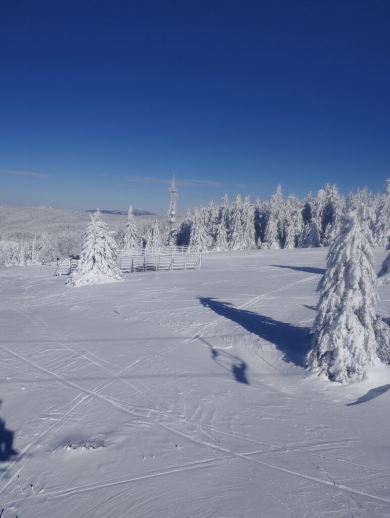 Kopaonik,