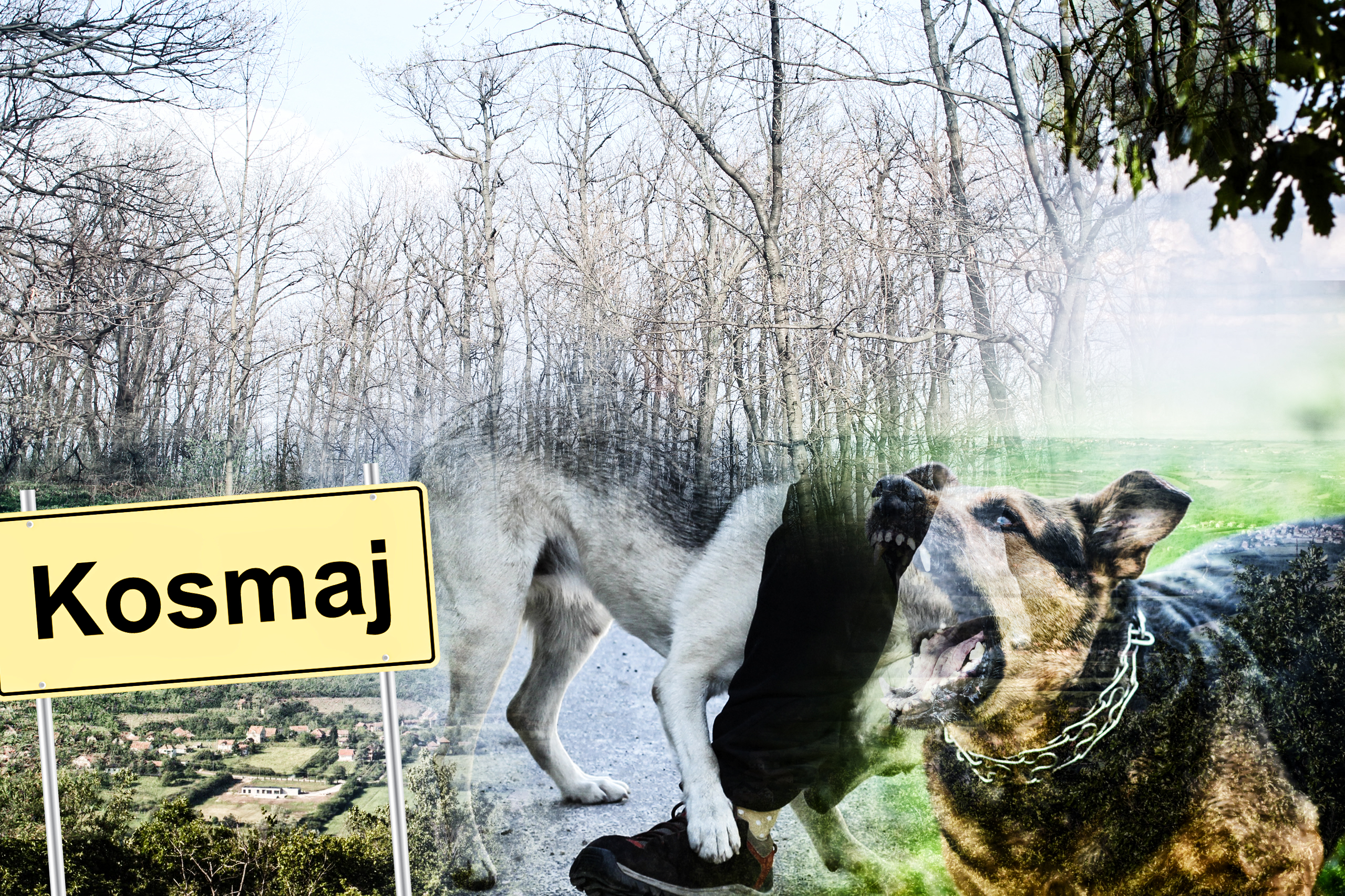 1623917615-shutterstock_1623083272-scaledaaaaa