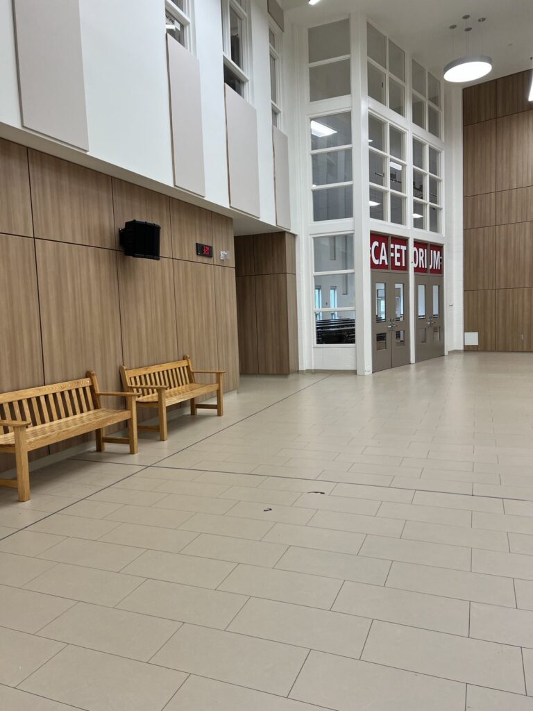 Bojana Arsić Mitrović,  Skola u Ontariju