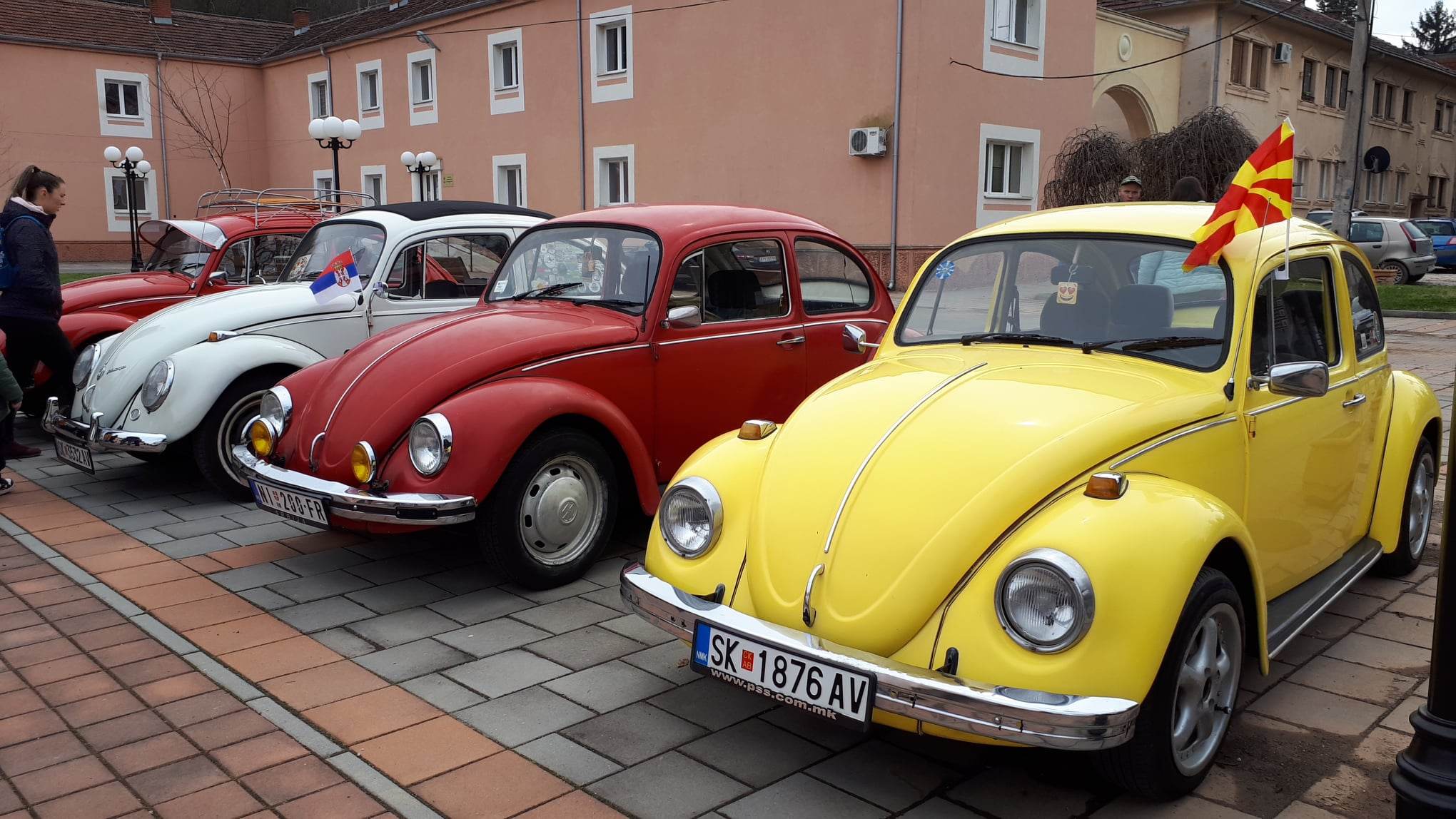 340120115_239209168597922_3473215745182051855_n