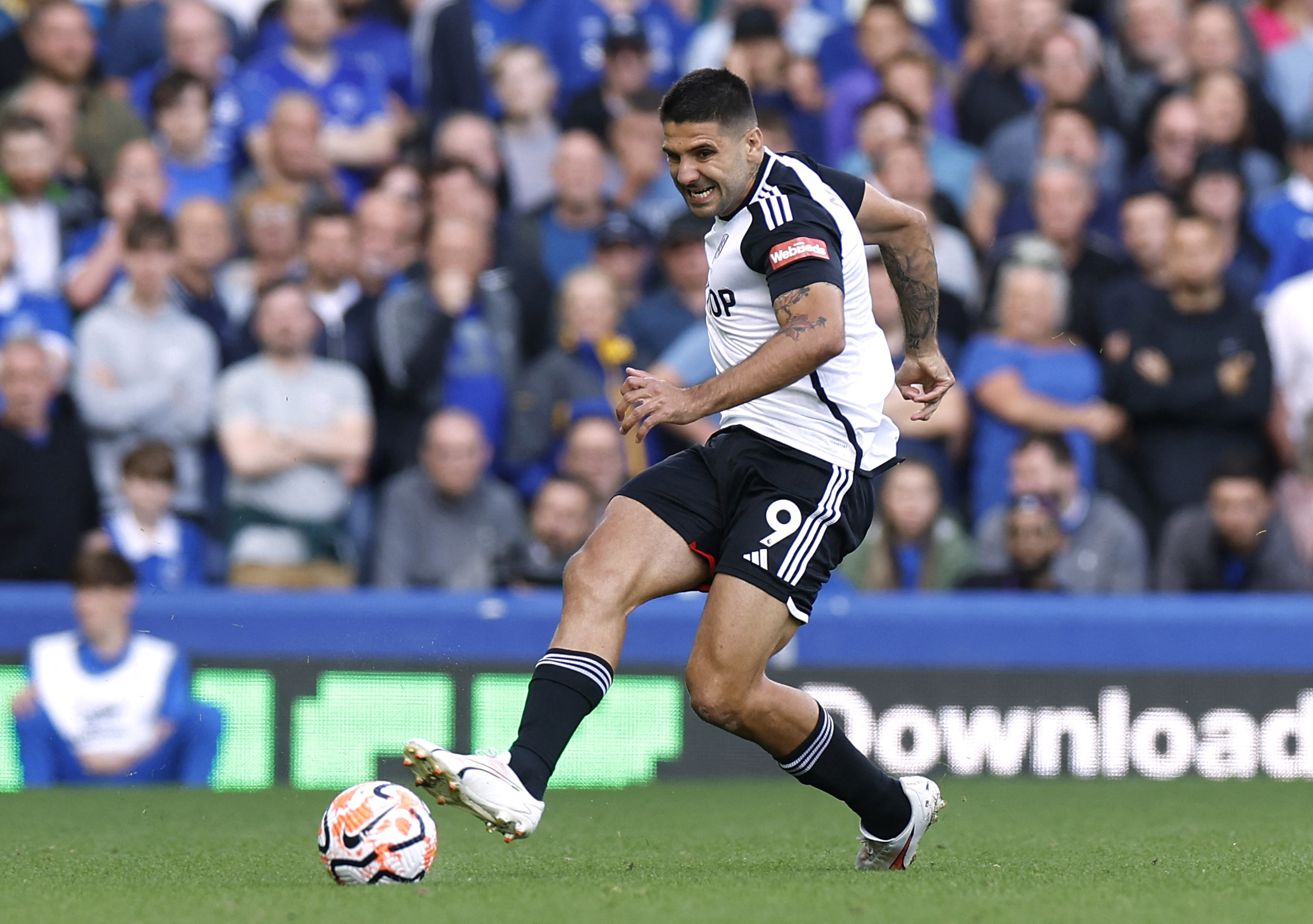 Premier League - Everton v Fulham
