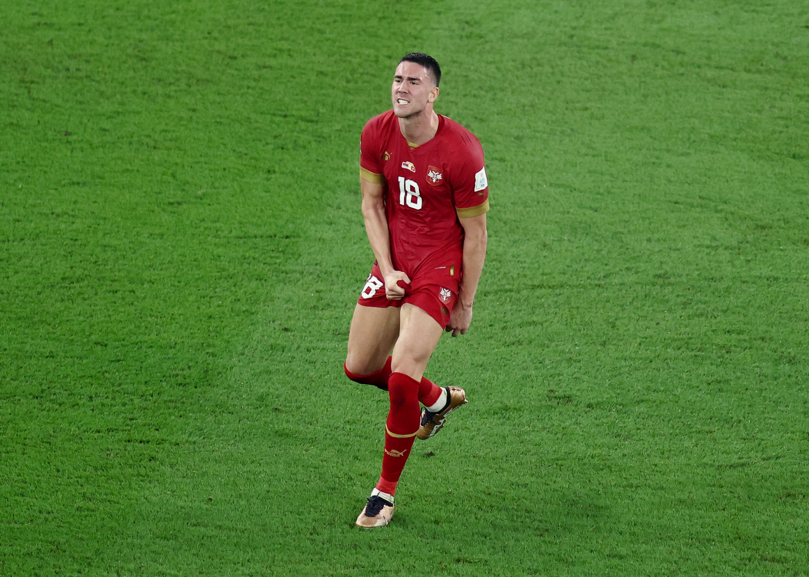 FIFA World Cup Qatar 2022 - Group G - Serbia v Switzerland