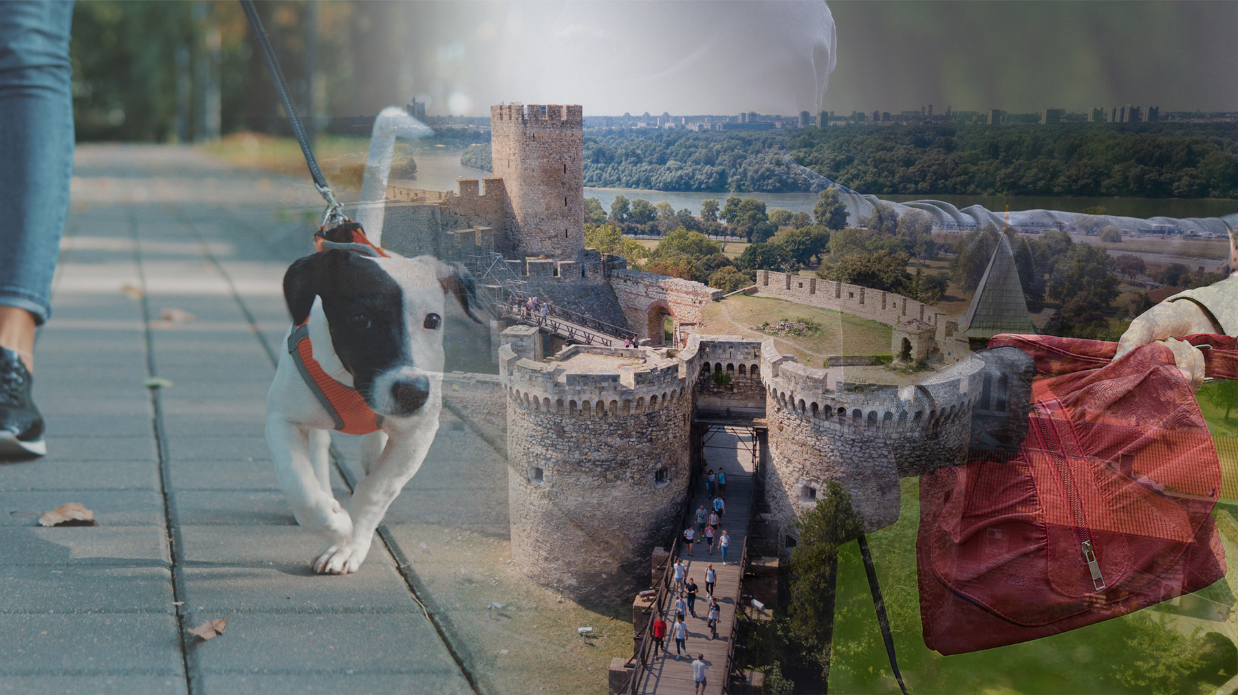 kalemegdan napad na zenu dok je setala psa