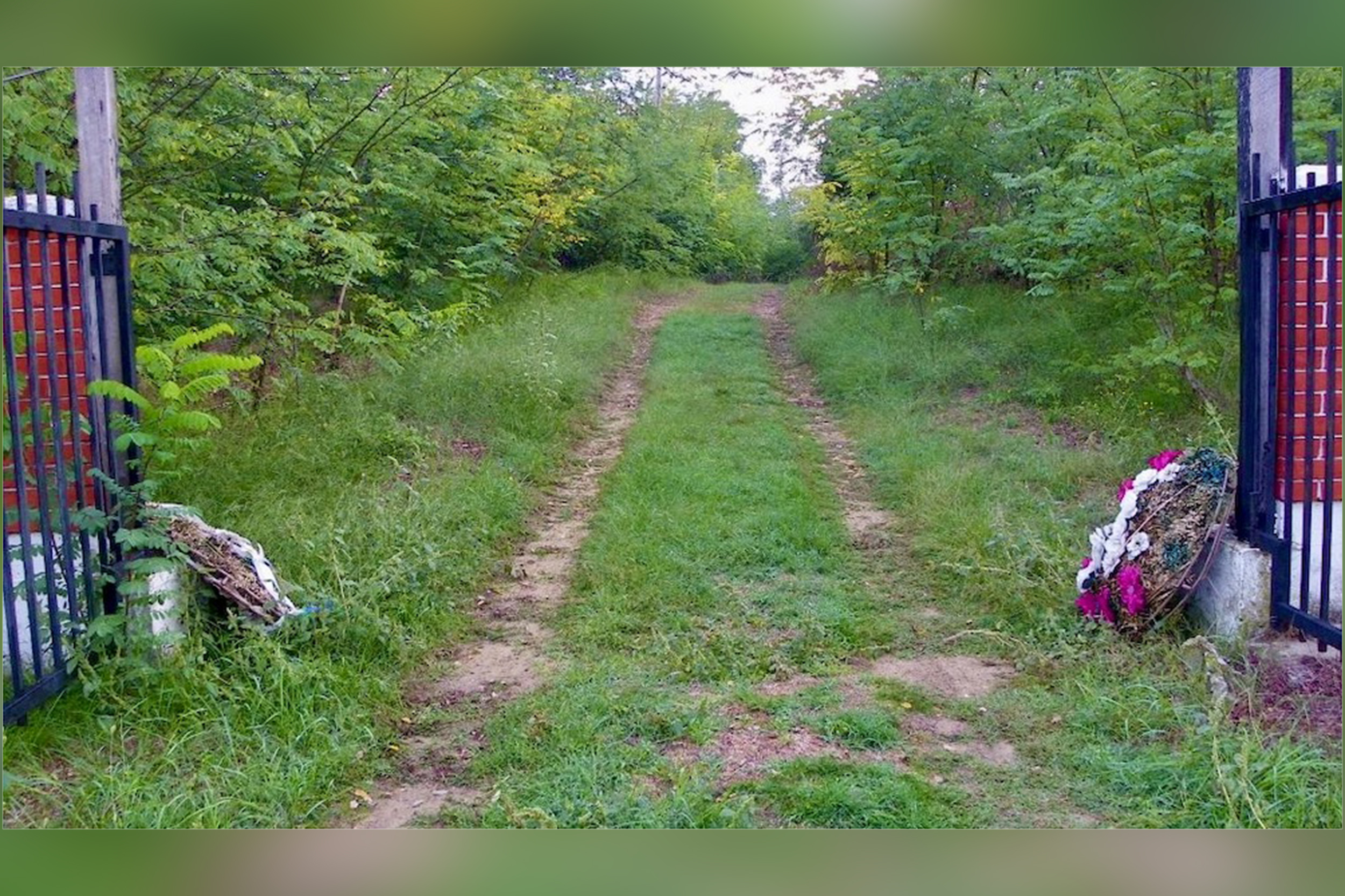 pretnja novinaru pančevo si ti, pančevo siti, pančevo city