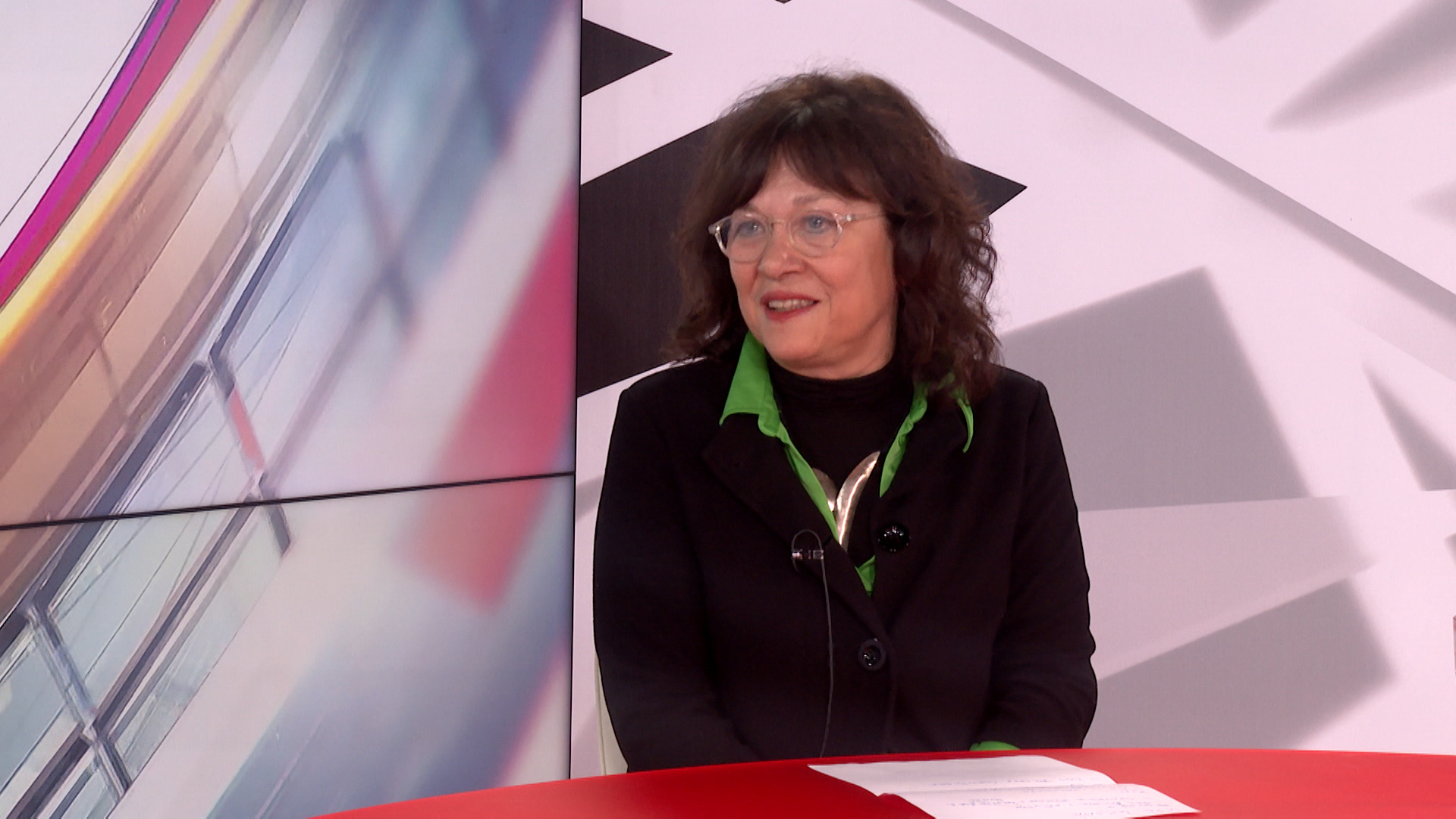 Dubravka Stojanović, istoričarka Foto: N1