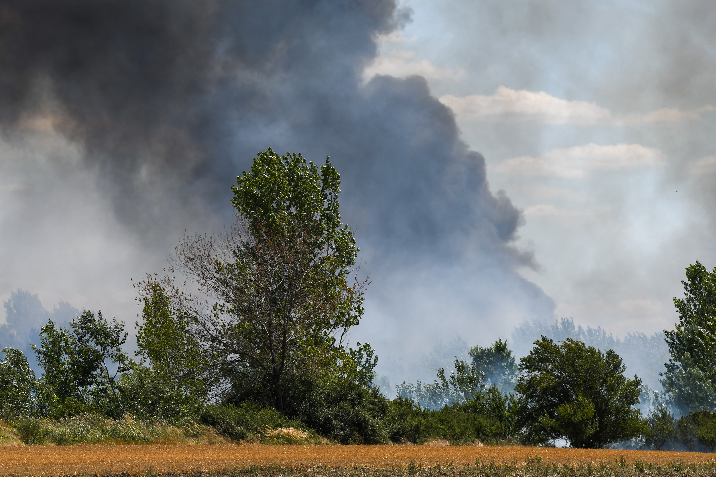 Novi Sad082 pozar kod Kaca foto Nenad Mihajlovic