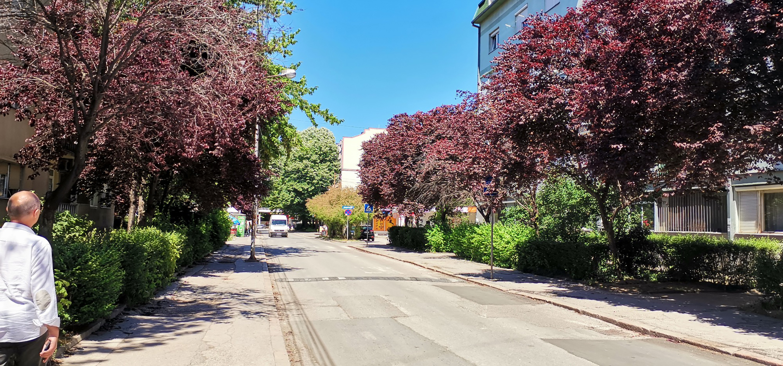 Niš ubistvo , ubijen,  muzičar, , hronika , mesto ubistva, zločina, mesto gde je žrtva pretučena