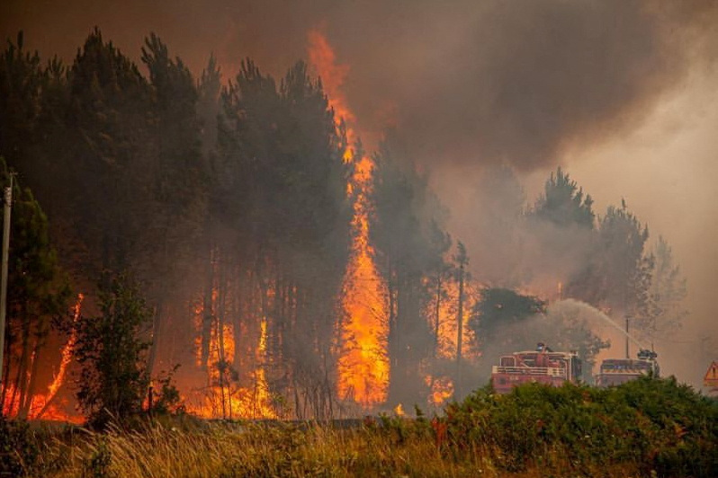 1657962578-2022-07-16T083531Z_447102590_RC2WCV9Q80DD_RTRMADP_3_EUROPE-WEATHER-FRANCE-WILDFIRE.JPG