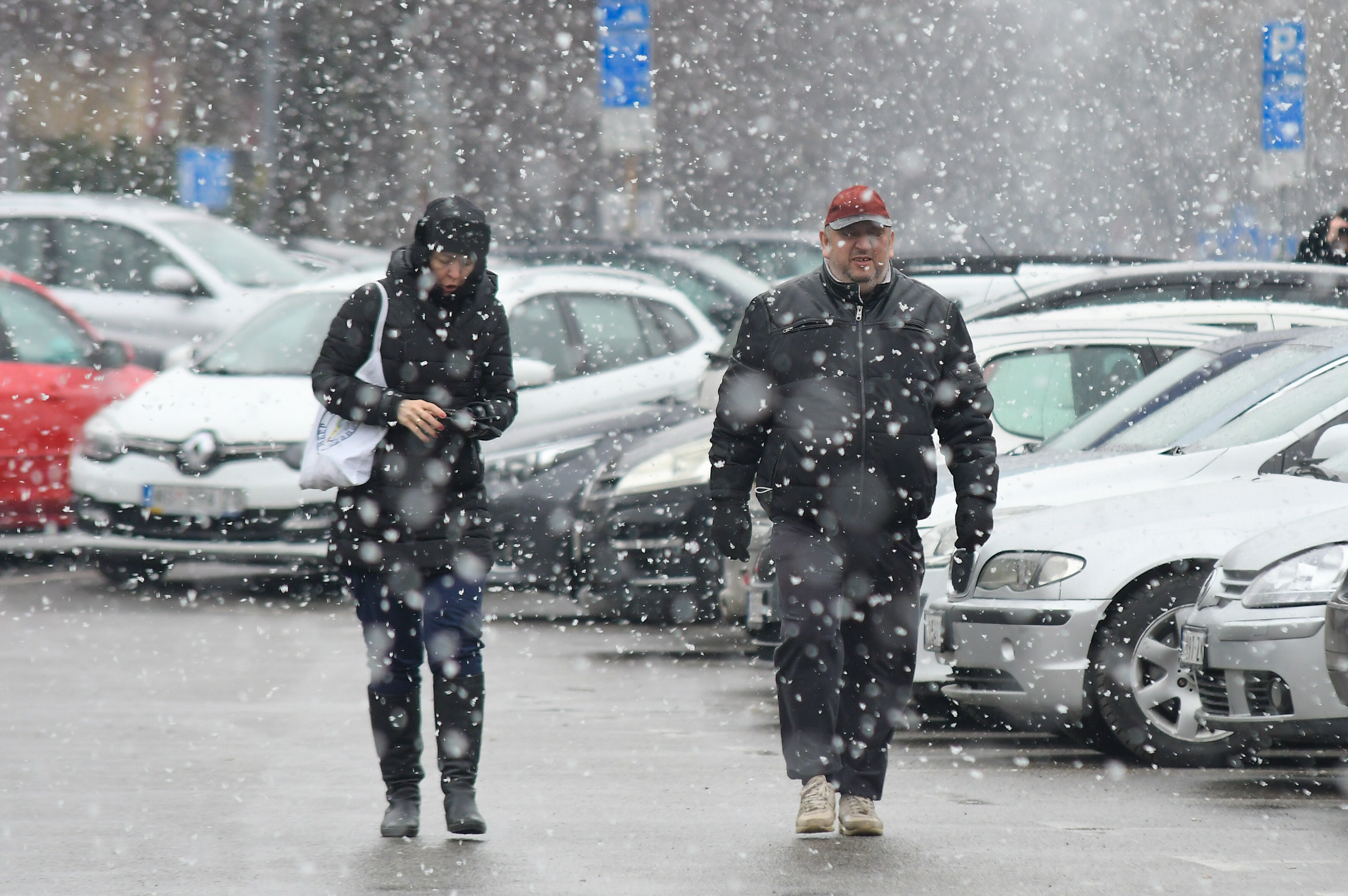 Novi Sad_ sneg u gradu foto Nenad Mihajlovic_-5