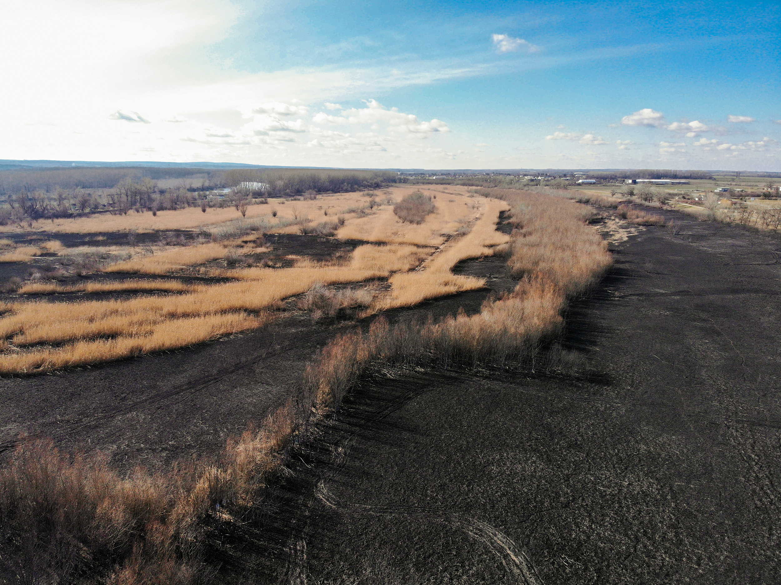 Novi Sad 16.02.2022 Stari ribnjak u Futogu posle pozara foto Nenad Mihajlovic