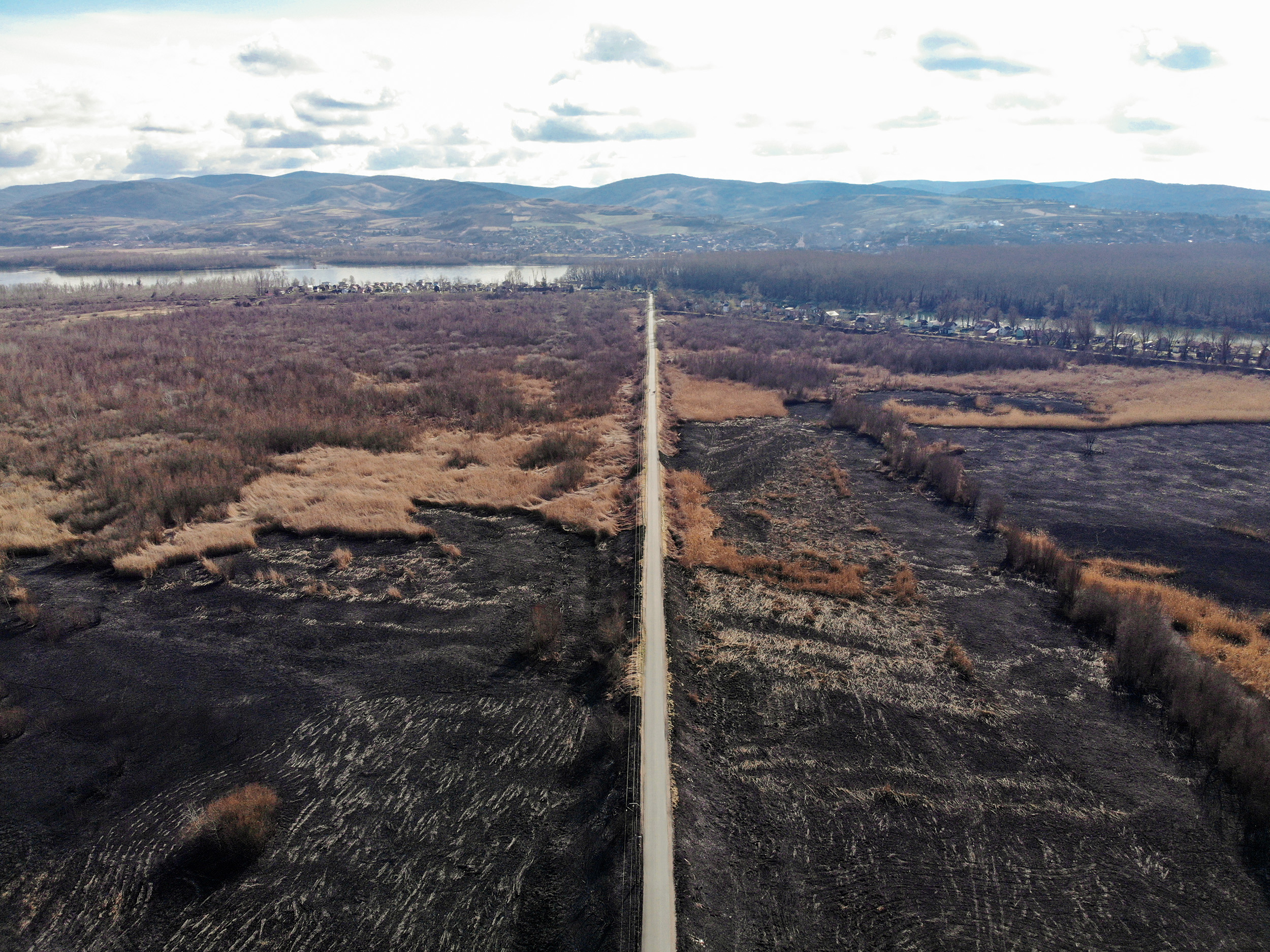 Novi Sad 16.02.2022 Stari ribnjak u Futogu posle pozara foto Nenad Mihajlovic