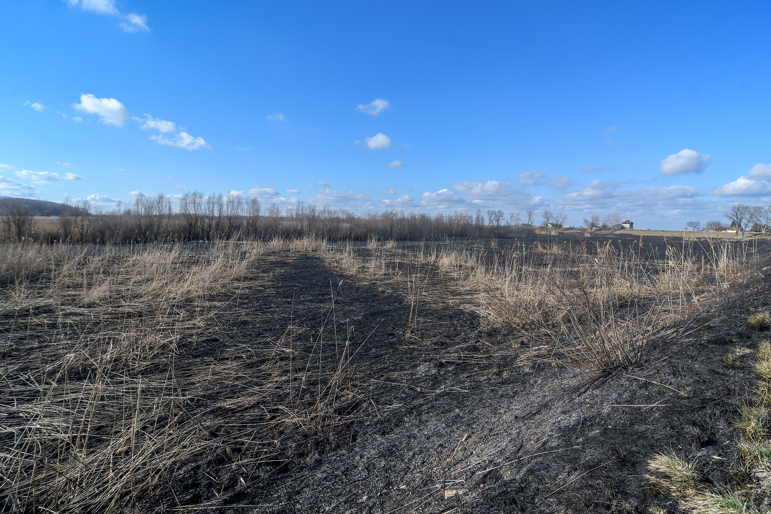 Novi Sad126 Stari ribnjak Futog posle pozara